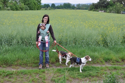 By the Rapeseed Field